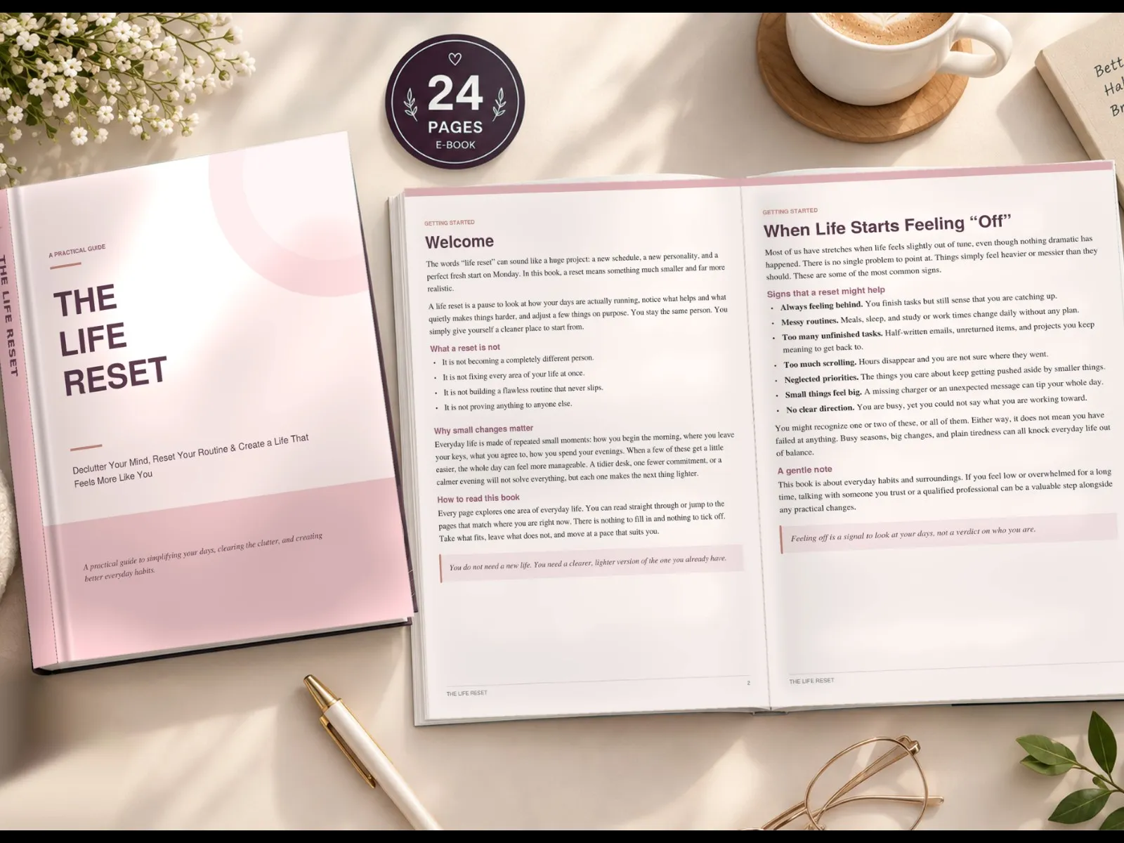 The Life Reset - media 1