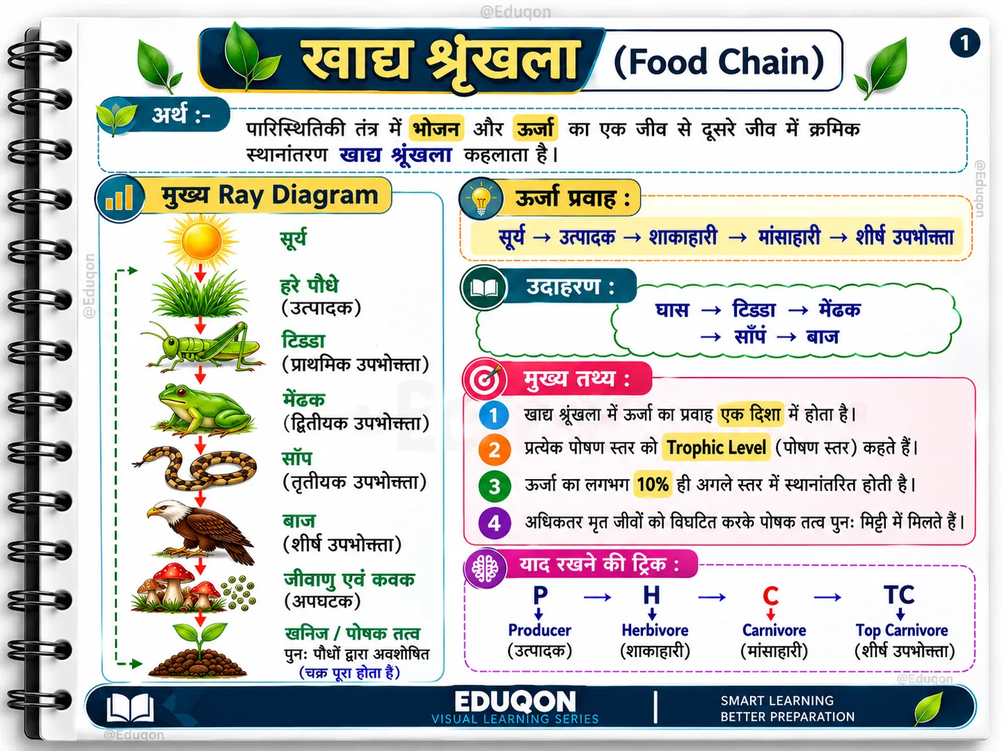 पर्यावरण अध्ययन मास्टर नोट्स PDF | STET, TET, CTET परीक्षा तैयारी - media 2