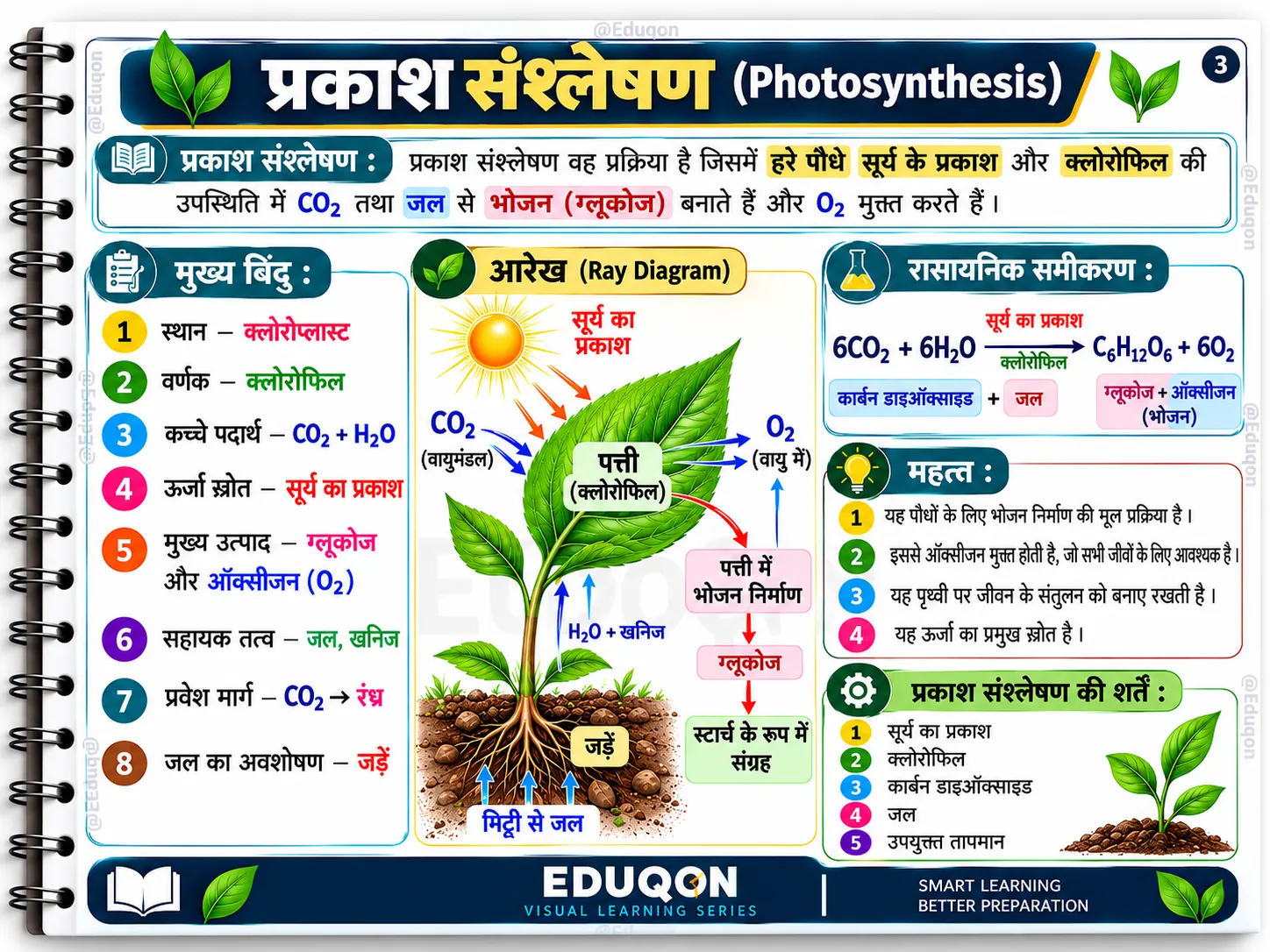 पर्यावरण अध्ययन मास्टर नोट्स PDF | STET, TET, CTET परीक्षा तैयारी - media 3