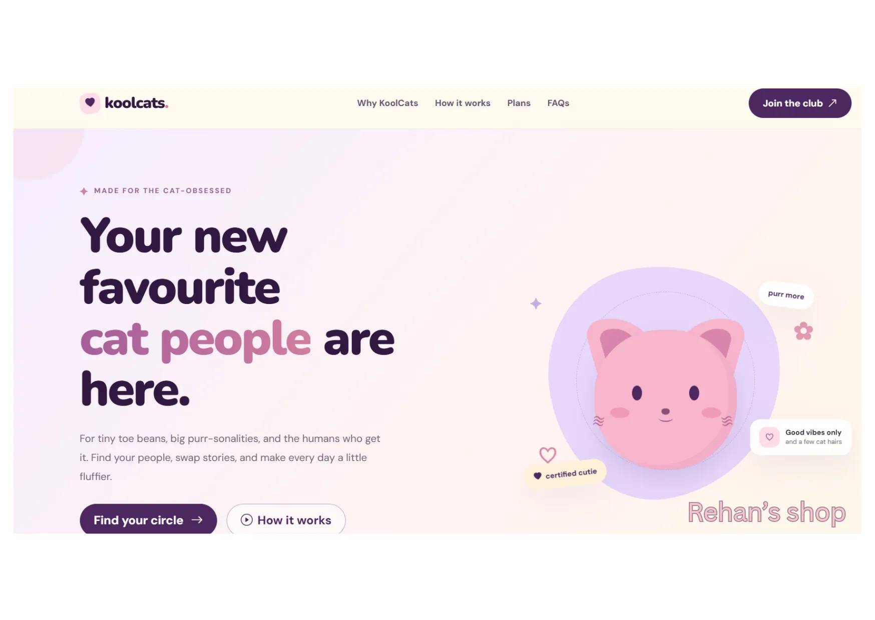 KoolCats-Pastel Cat website Template - media 2