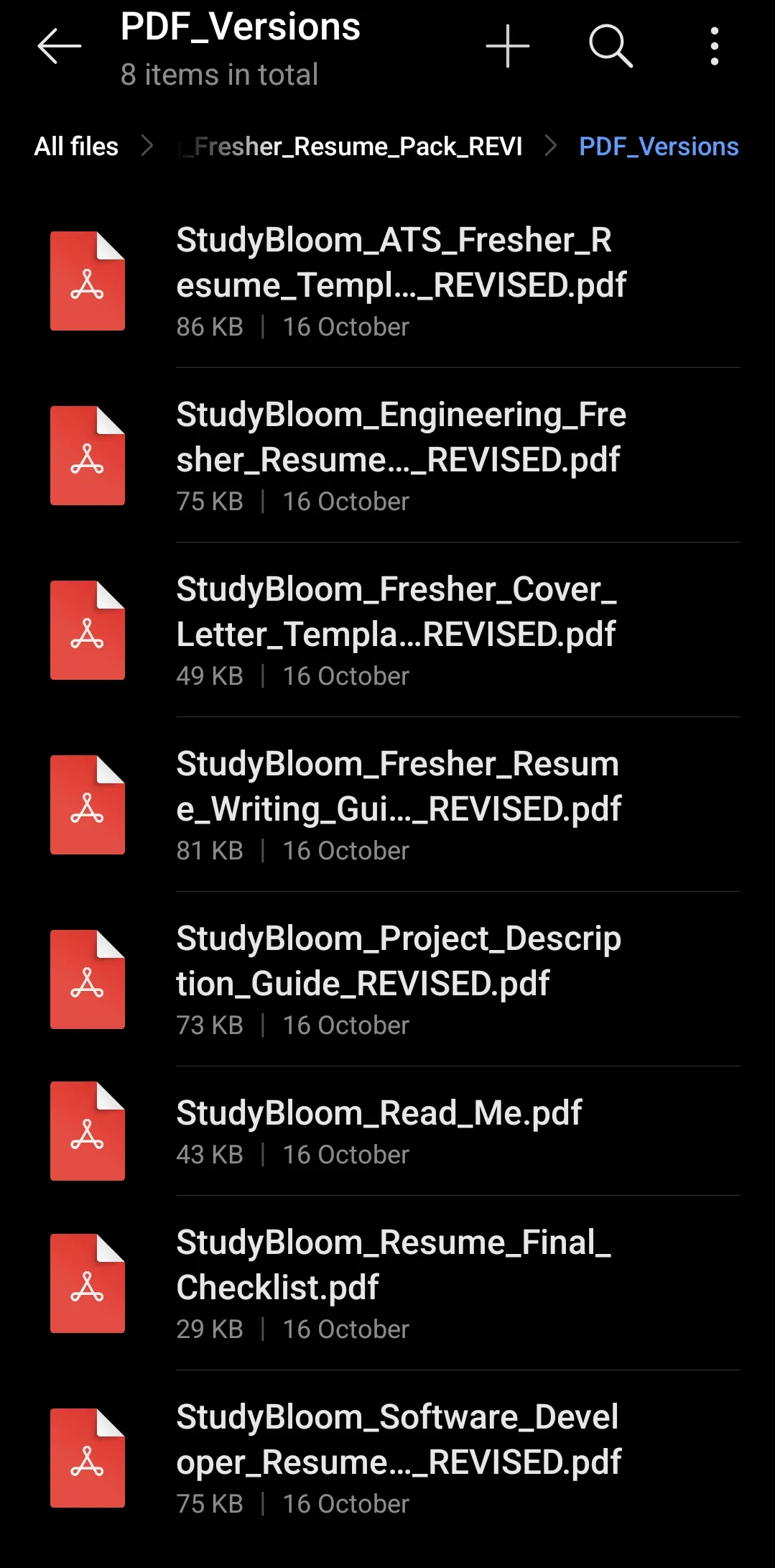 IT & Engineering Fresher Resume Pack | ATS-Friendly Resume Templates, Cover Letter & Career Guides - media 3